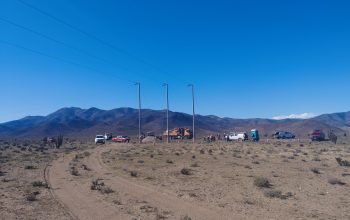 servicio-formulacion